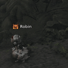 a blurred image of a cat with the name robin below it