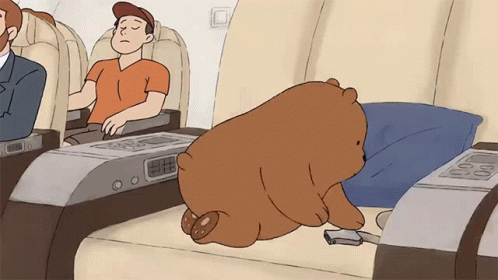 Seatbelt Grizzly GIF - Seatbelt Grizzly We Bare Bears - Discover & Share  GIFs
