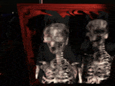 a picture of two skeletons in a frame with a red border