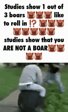 Boar Boars GIF - Boar Boars GIFs