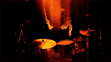 Drummer Carnation GIF