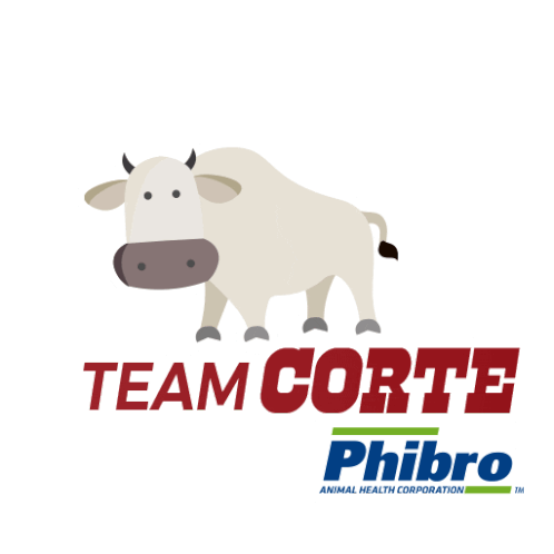 Phibro Oxen Sticker - Phibro Oxen Stickers