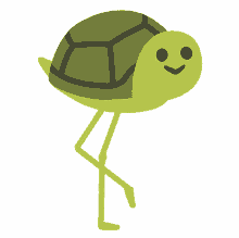 turtlecoin turtle