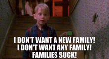 Home Alone Family Sucks GIF - Home Alone Family Sucks Family GIFs