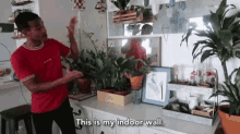 This Is My Indoor Wall Home Decor GIF - This Is My Indoor Wall Home Decor Interior Design GIFs