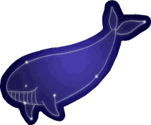lady whale
