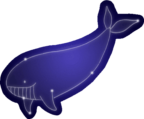 Whale Contellation Sticker - Whale Contellation Stars Stickers