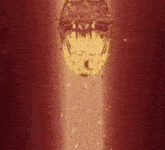 a glowing object is coming out of a hole in the ground .