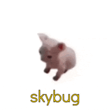 a stuffed animal with the word skybug on the bottom