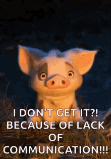Confused Pig GIF - Confused Pig Worried GIFs