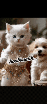 a white kitten and a white puppy are standing next to each other and the kitten is wearing a gold costume .