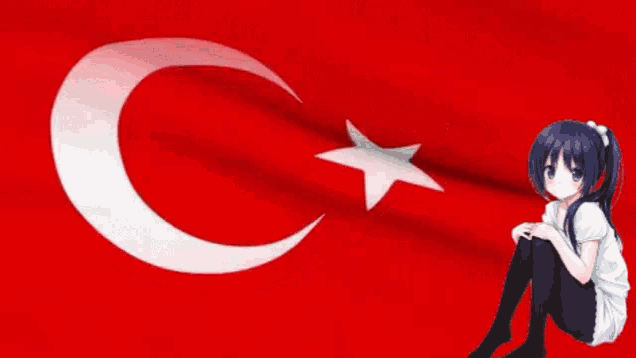Turkey - Axis Powers: Hetalia - Image by O-tuki #350136 - Zerochan Anime  Image Board