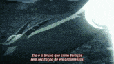 a picture of a dragon with a caption that says ela é a bruxa