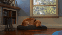 Dug Dog GIF - Dug Dog Awake GIFs