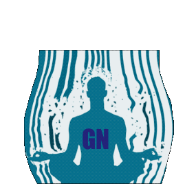 a silhouette of a person with the word gn on their chest