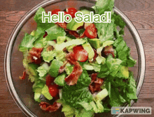 Hello Salad GIF