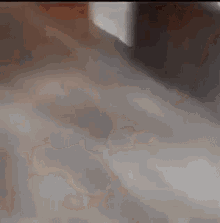 a close up of a person standing on a staircase with a blurred background .