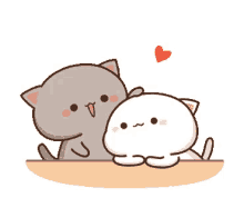 kittens cats