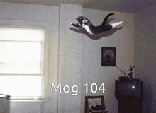 Mog 104 Mog GIF - Mog 104 Mog 104 GIFs