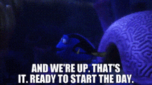 Finding Dory And Were Up GIF - Finding Dory And Were Up Thats It Ready To Start The Day GIFs