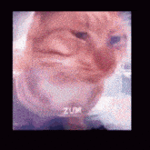 Rizz Cat GIF - Rizz Cat GIFs