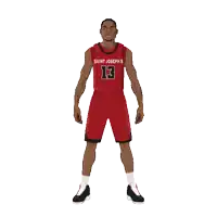 a basketball player with the number 13 on his shirt