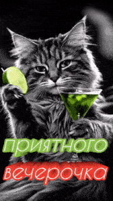a cat is holding a martini glass and a lime slice .