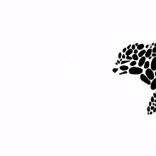 a black and white drawing of a cat made out of dots