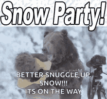 Bear Guitar GIF - Bear Guitar Snowparty GIFs