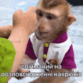 мавпа спійманий на розповсюдженні GIF - мавпа спійманий на розповсюдженні спійманий GIFs