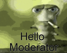 Hello Moderator GIF