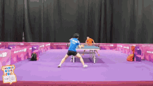 table tennis ping pong match skill talented