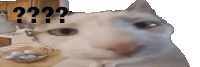 a white cat is sitting on a table with a bowl of eggs in front of it and a question mark .