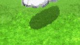 a person wearing a pair of white tennis shoes is standing on a green field .