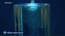 chupito medusa liquida is shown on a screen