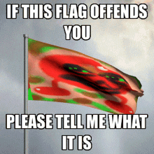 What Is This Flag GIF - What Is This Flag Kristofferson Silverfox GIFs