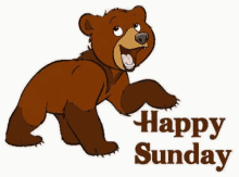 Sunday Happy Sunday GIF - Sunday Happy Sunday Bear GIFs