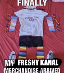 a t-shirt that says " finally my freshy kanal merchandise arrived " sits on a bed