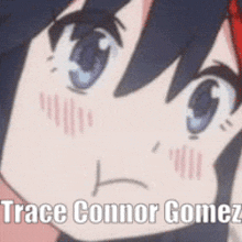 Trace Connor Gomez GIF - Trace Connor Gomez GIFs