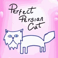 Perfect Persian Cat Veefriends GIF - Perfect Persian Cat Veefriends Flawless GIFs