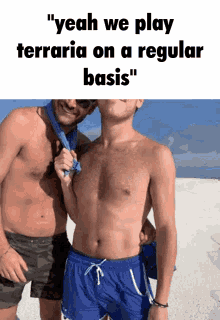 Terraria Terraria Is Gay GIF
