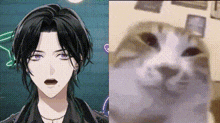 a man with black hair and purple eyes is next to a picture of a cat with white fur .