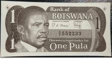 One Pula GIF - One Pula Botswana GIFs