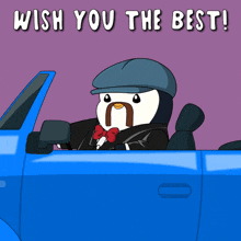 Penguin Pudgy GIF - Penguin Pudgy Salute GIFs