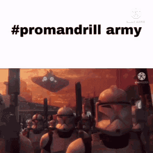 promandrill mandrill jj gng mandrill army