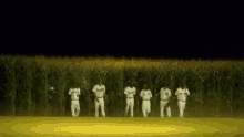 a group of baseball players stand in a field of corn