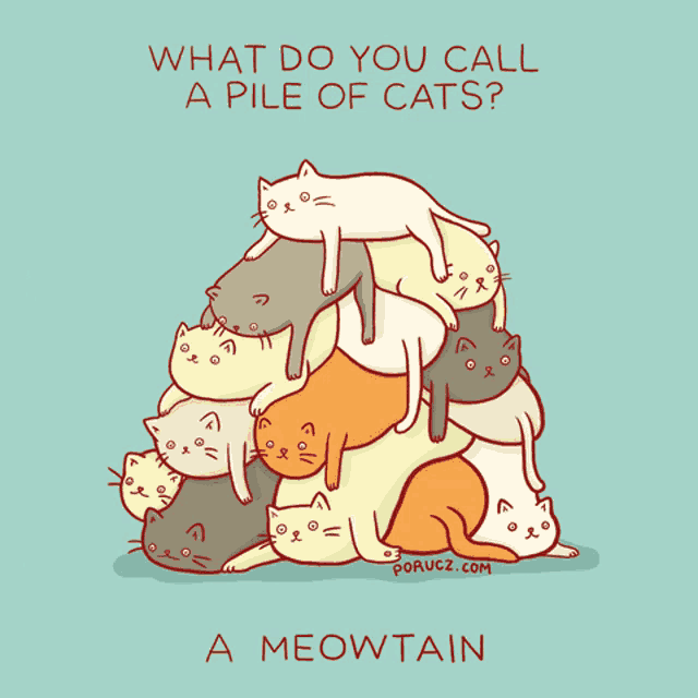 What Do You Call A Pile Of Cats GIFs | Tenor