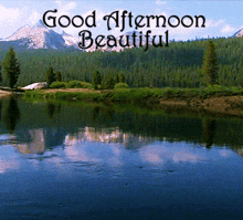 Good Afternoon Beautiful GIF - Good Afternoon Beautiful Outdoors GIFs