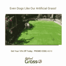 grass artificial