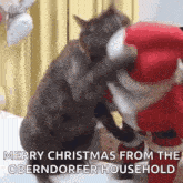 Cat Christmas GIF - Cat Christmas Christmasspirit GIFs